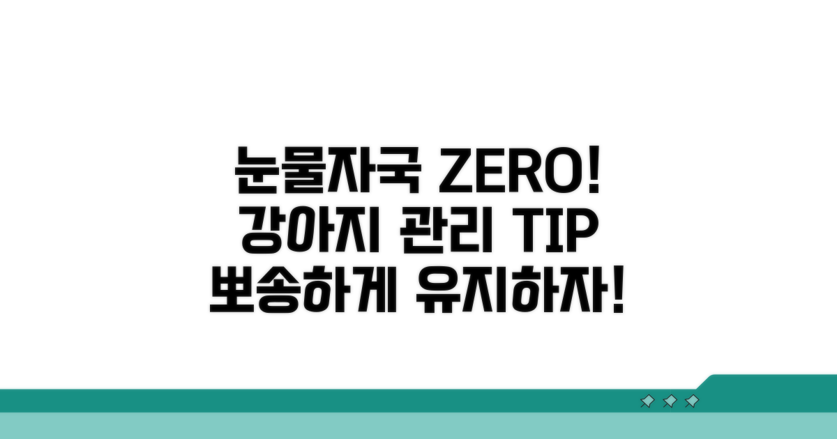 강아지 눈물자국 예방 꿀팁