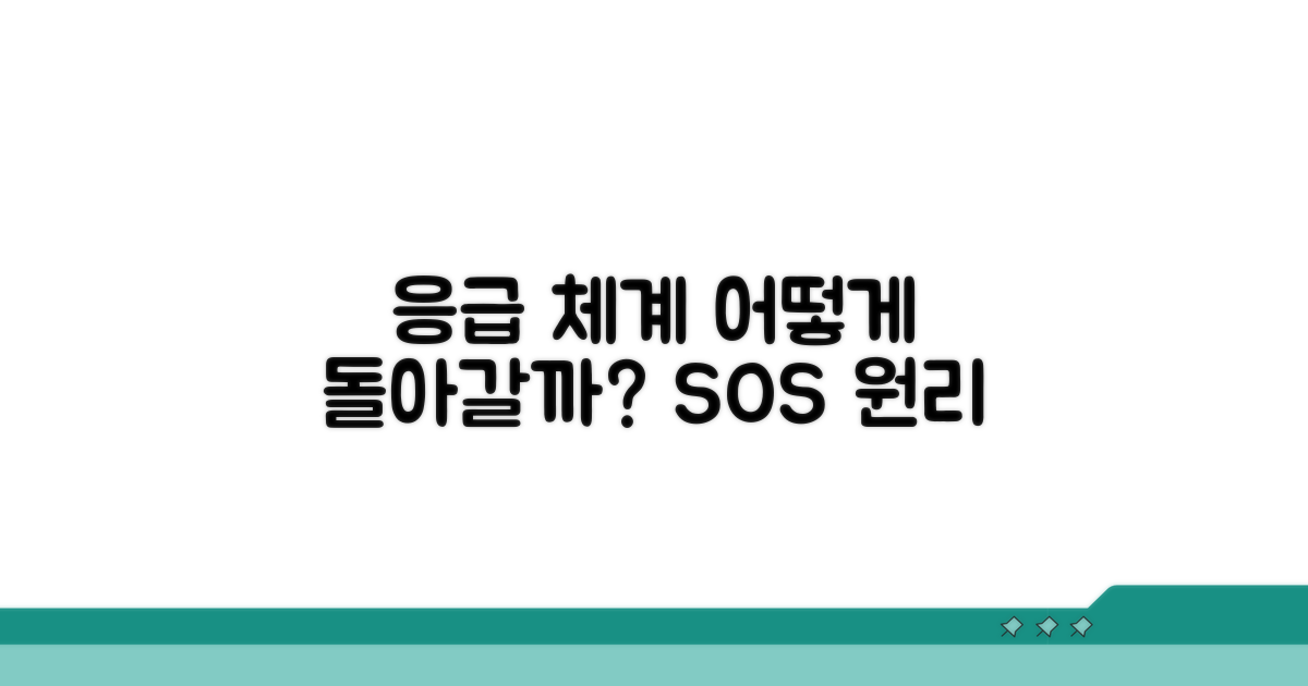 응급의료 체계, 작동 원리 이해
