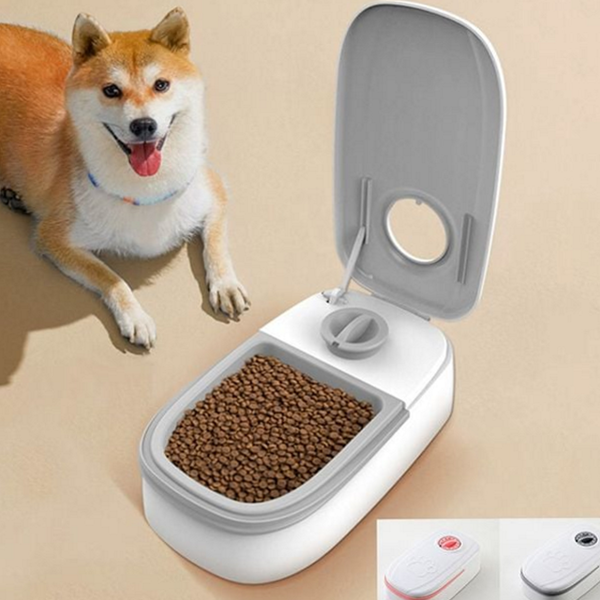 고양이 반려동물 자동 급식기 강아지 반려동물 타이머 급식기 사료 식기 상세 이미지 1